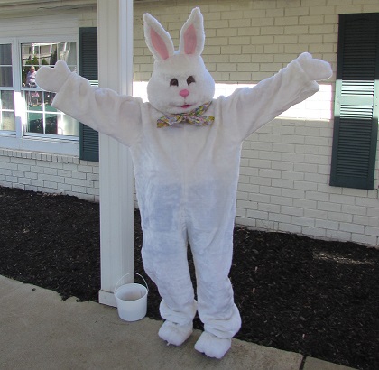 Bunny.jpg